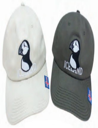 Cap Puffin w emb. Flag patch ICELAND 2 col