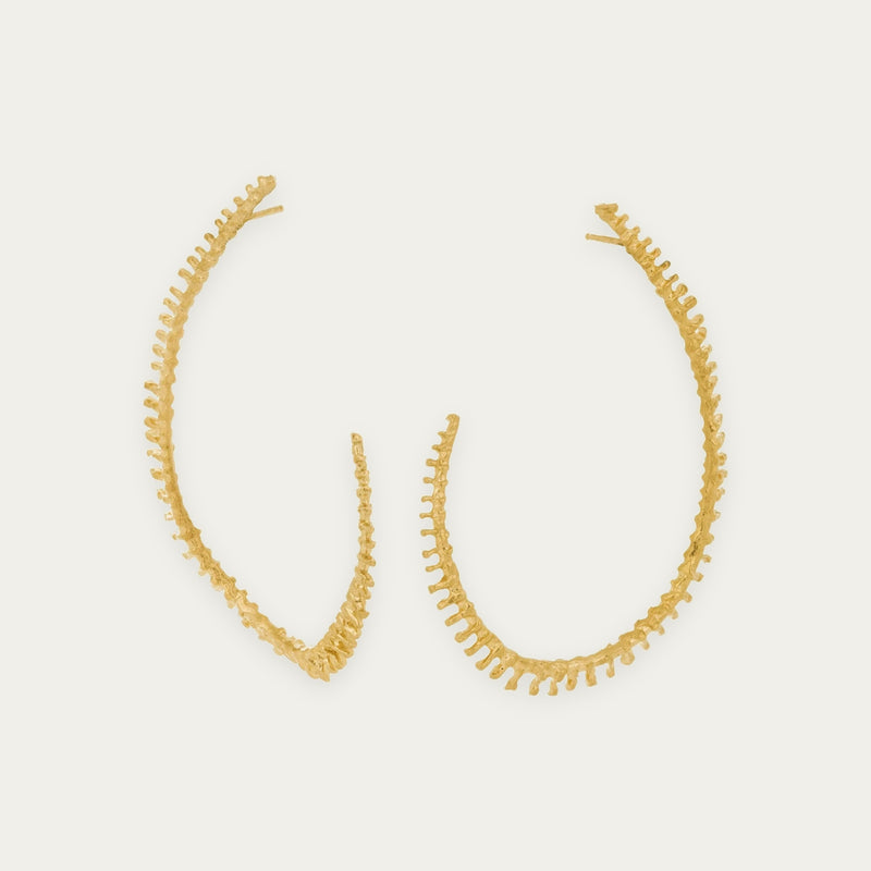 ASTERIAS EAR CRAWLER (141 GP)