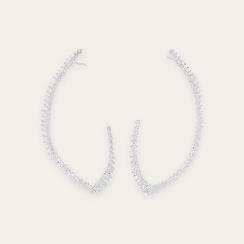 ASTERIAS EAR CRAWLER (141)