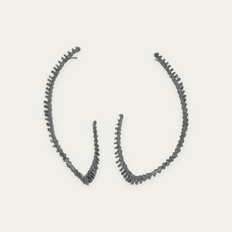 ASTERIAS EAR CRAWLER
