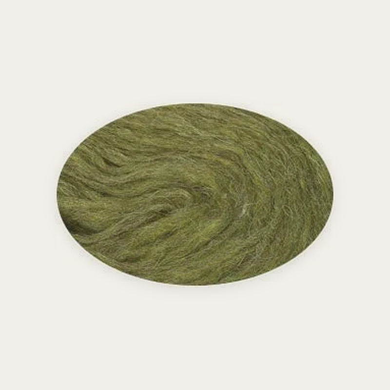 Plötulopi - Bundle - Clover Green Heather