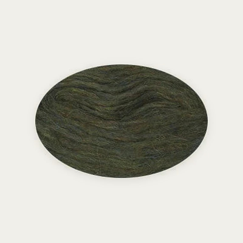 Plötulopi - Bundle - Spruce Green Heather