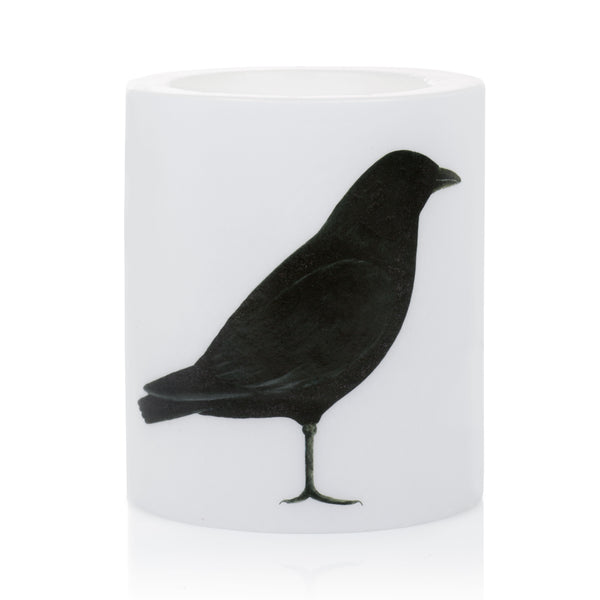 CANDLE (Raven)