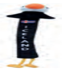 Bookmark Puffin Iceland