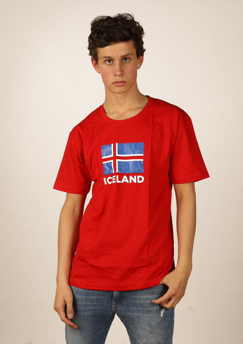 Icelandic sweaters and products - Men's Iceland Flag Tshirts - Shopicelandic.com