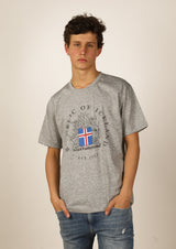 Icelandic sweaters and products - Men's Iceland T-shirt Coat of Arms Tshirts - Shopicelandic.com