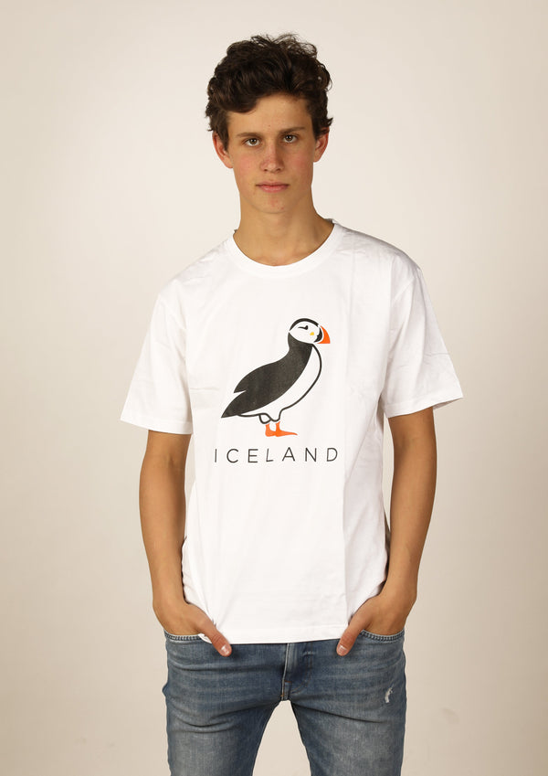 Icelandic sweaters and products - Men's Iceland Standing Puffin Tshirts - Shopicelandic.com