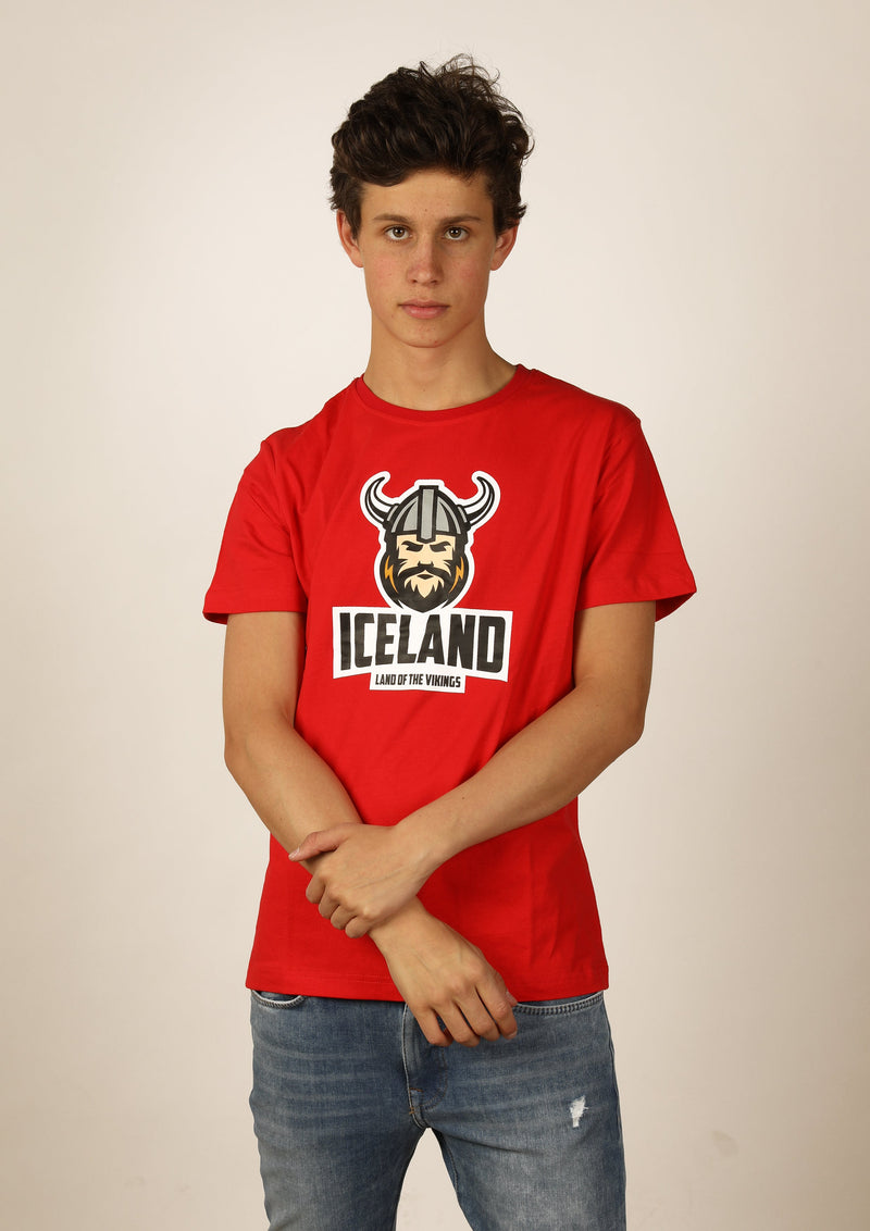 Icelandic sweaters and products - Men's Iceland T-shirt Viking Men Tshirts - Shopicelandic.com