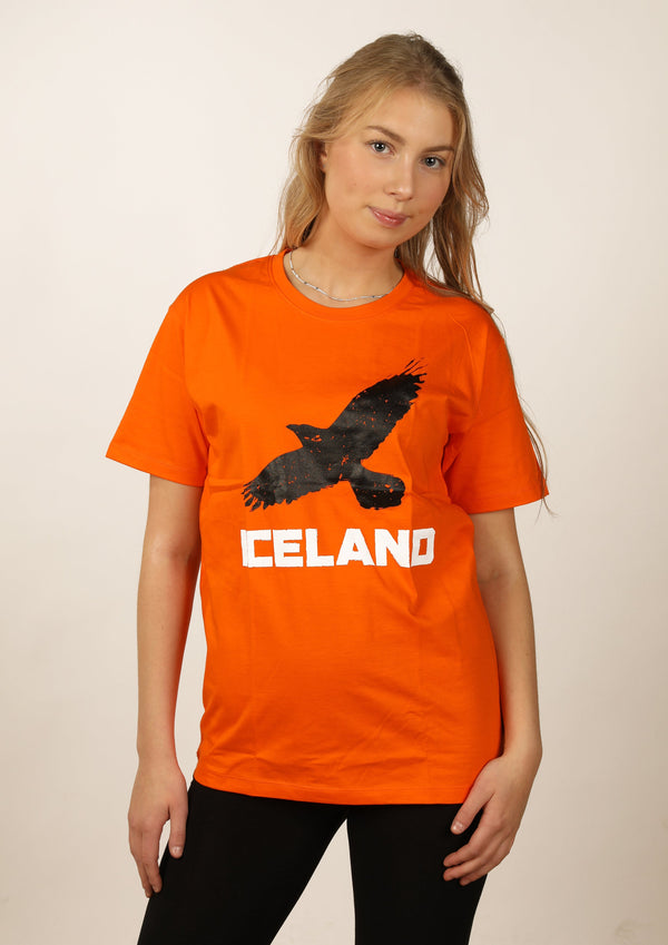 Icelandic sweaters and products - Women's Iceland Raven Tshirts - Shopicelandic.com