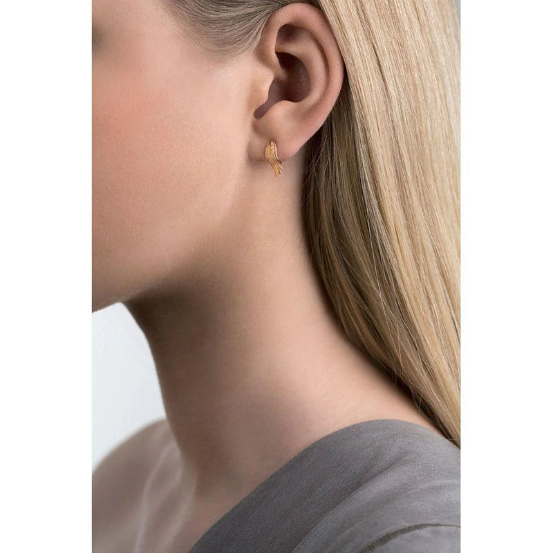 RAVEN EARRINGS golden