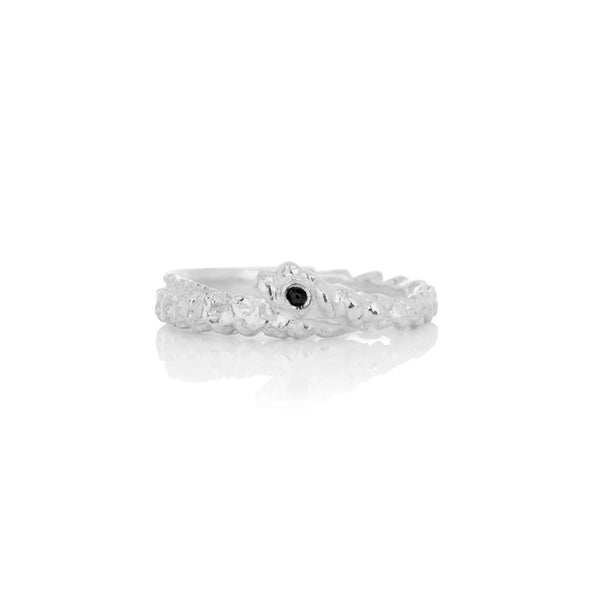 ASTERIAS RING silver (419)