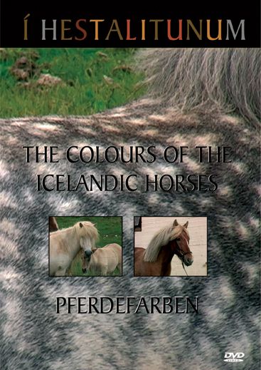 Icelandic sweaters and products - The colors of the Icelandic Horses / DVD DVD - NordicStore